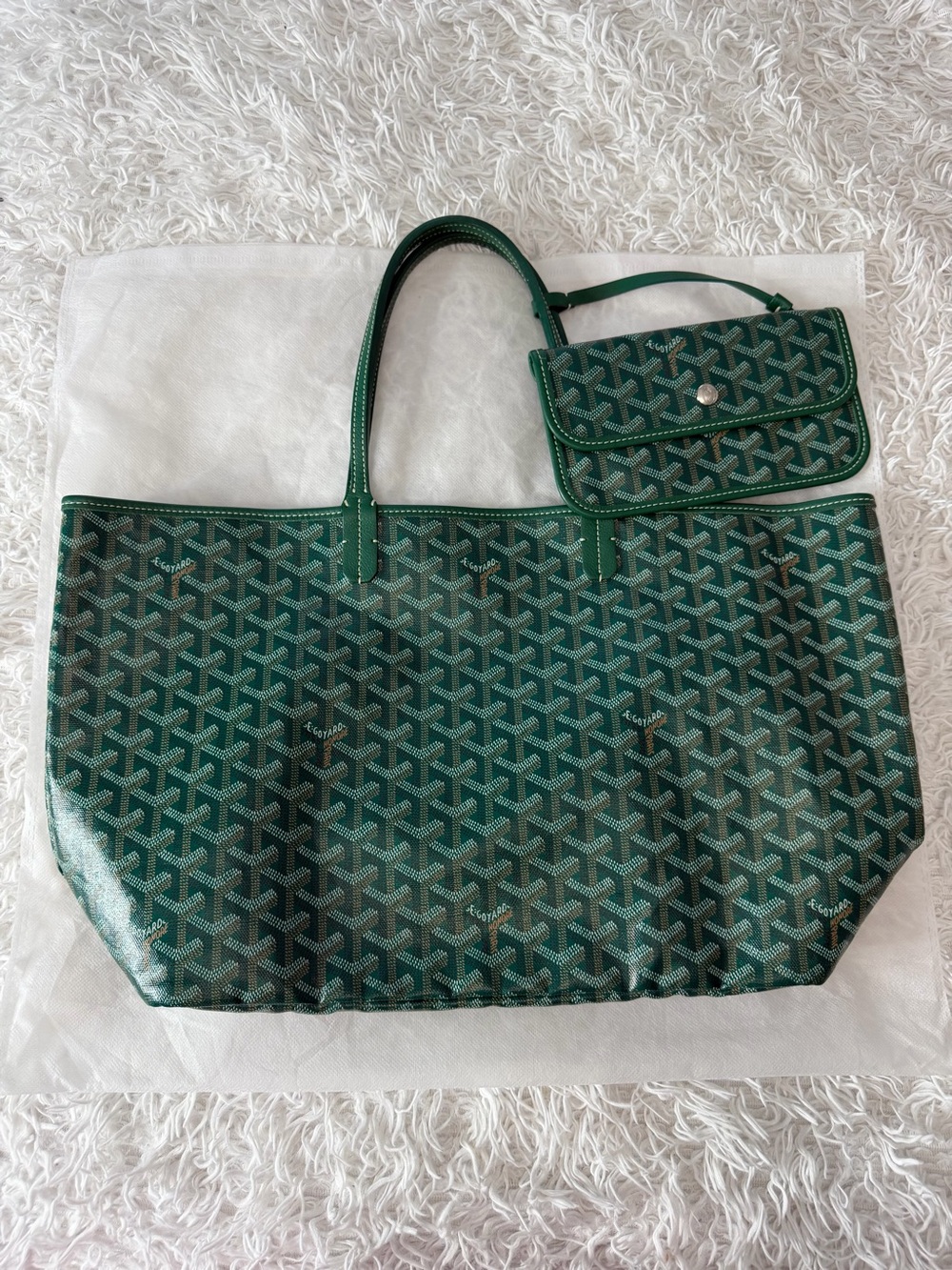 GOYARD Goyardine Saint Louis PM in Green